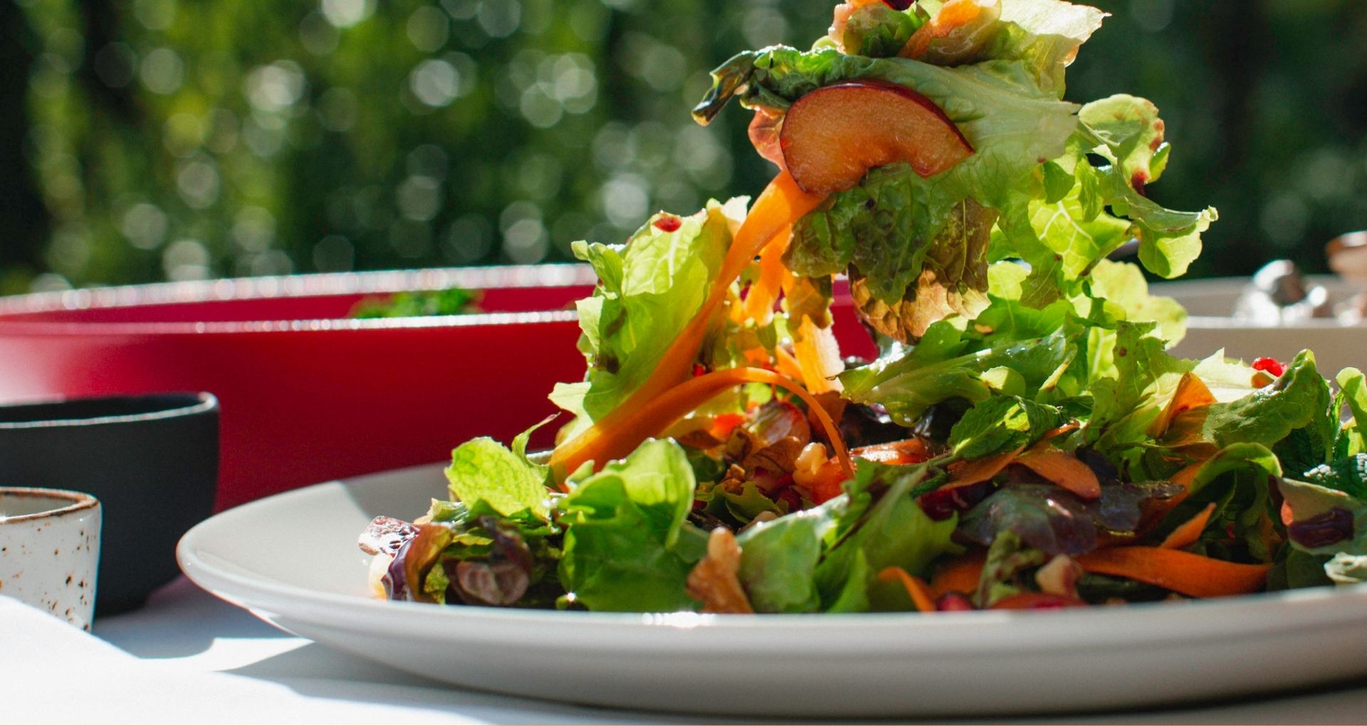  Eye-Friendly Salad, Recipe Idea Autumn Salad | Huron Shores Optometry, Port Elgin, ON